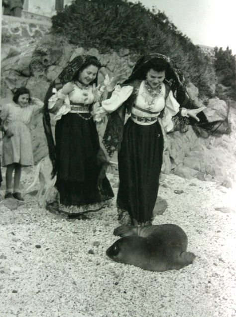 GroovySciFi's tweet photo. Monk seals were once common on the shores of Sardinia. Presumed extinct in Sardinia by the 1980s, they have been sighted recently in the gulf of Orosei, suggesting a tepid return. https://t.co/vOPvjzOl4p