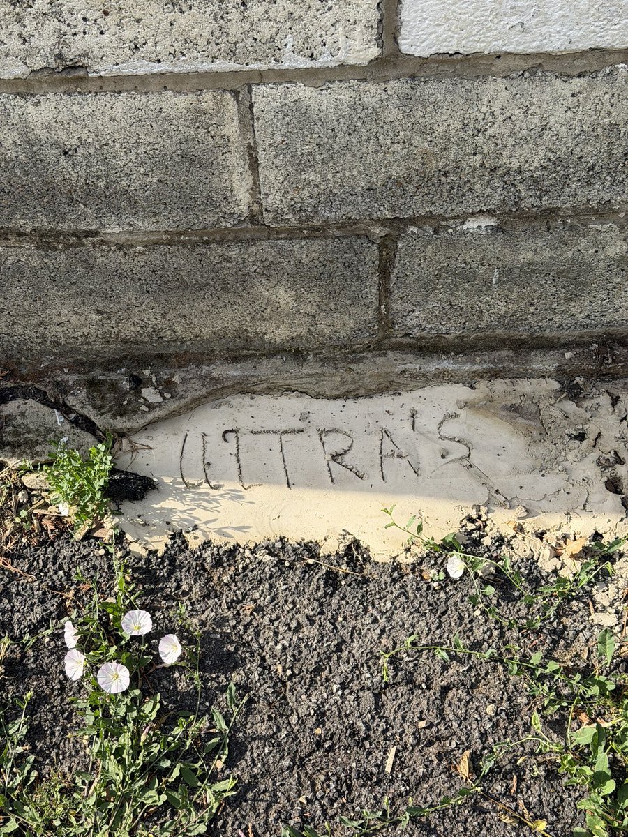 wandcfc's tweet photo. @UltrasWally found a bit of @DavidLynn_31 handiwork in your honour today at the fir tree end 🤣🧡⚽️ https://t.co/obuzT36LDF
