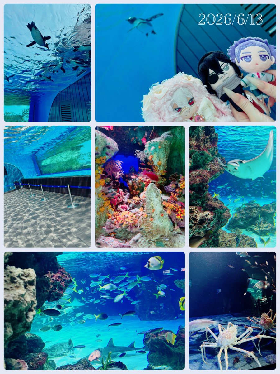 nateees27's tweet photo. 🍊ちゃんと水🐠族🐬館もいってきました✨ https://t.co/M99KXyynfi