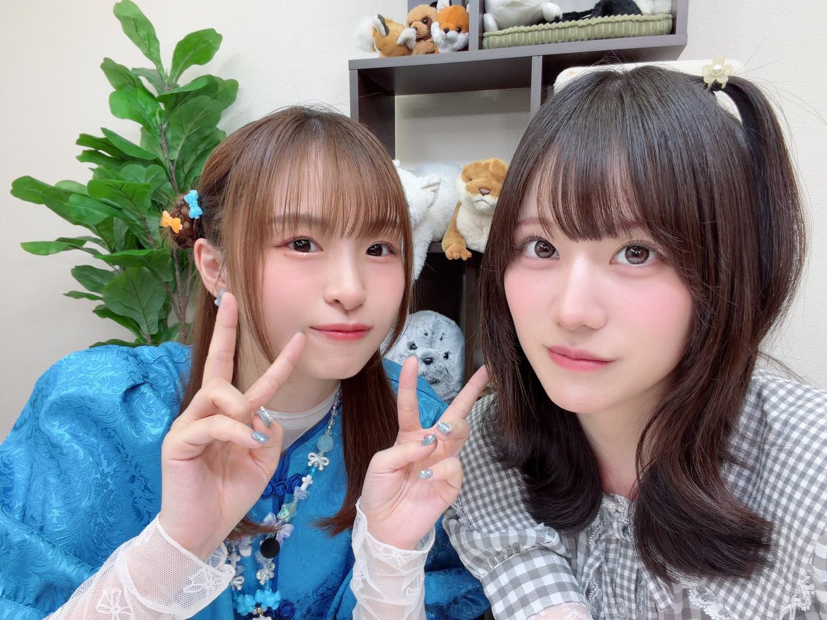 mio_hoshitani's tweet photo. #かんめぐ ゲスト出演させていただきました🤍
たまご笑いすぎて苦しかったな……🐓
あんなことあるんだ……🤔笑
いつか菅叶和ちゃんとも勝負したいです💪(  ｰ̀֊ｰ́💪)
#ほしめぐ https://t.co/mb6y9P4ff9