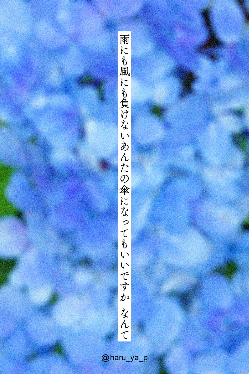 haru_ya_p's tweet photo. (3/3)

【山硲(になる前の、山→硲)】 https://t.co/r1dpM9DtgI