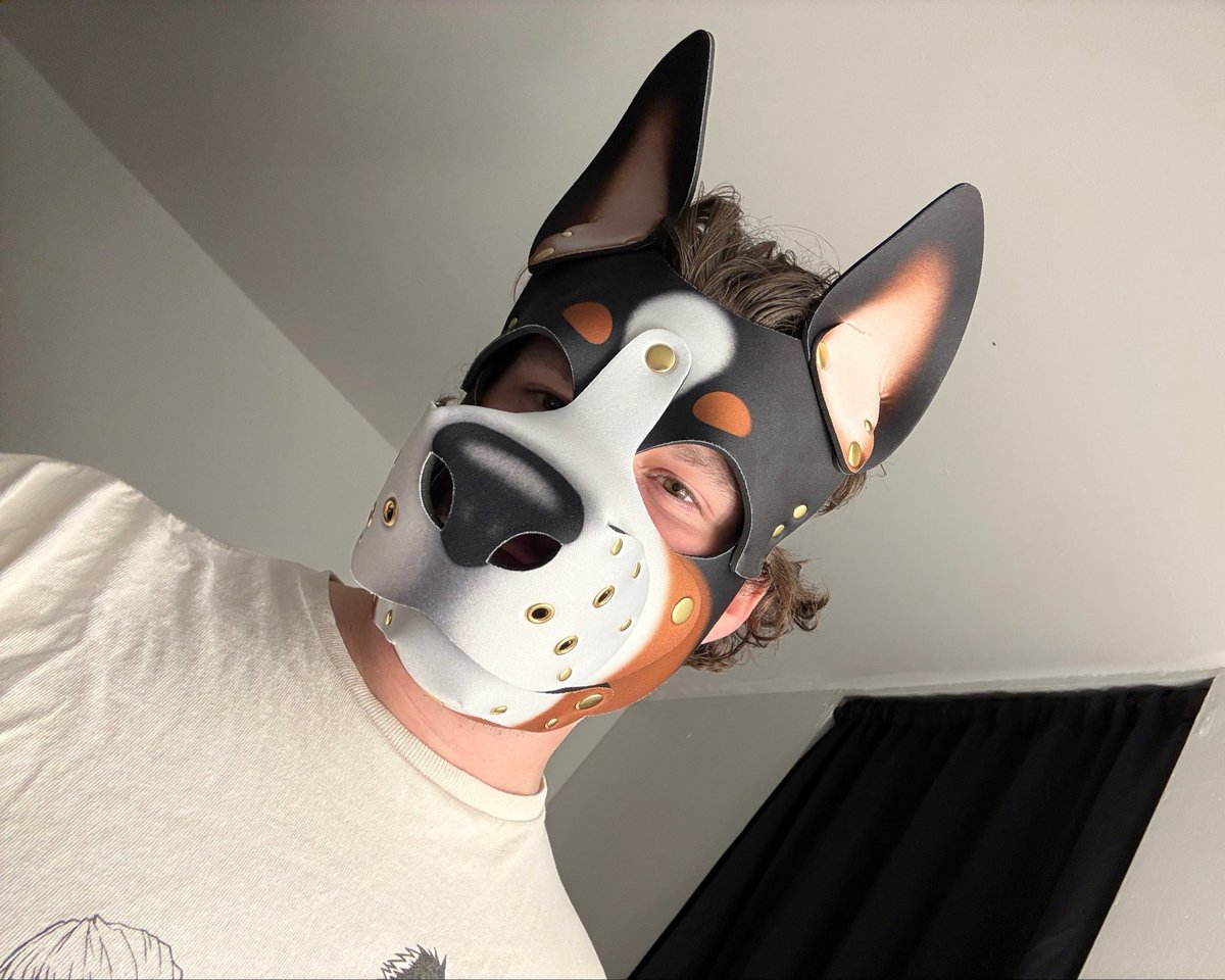 PuppyMicha's tweet photo. Woof and Bark https://t.co/JWUOdguVwk
