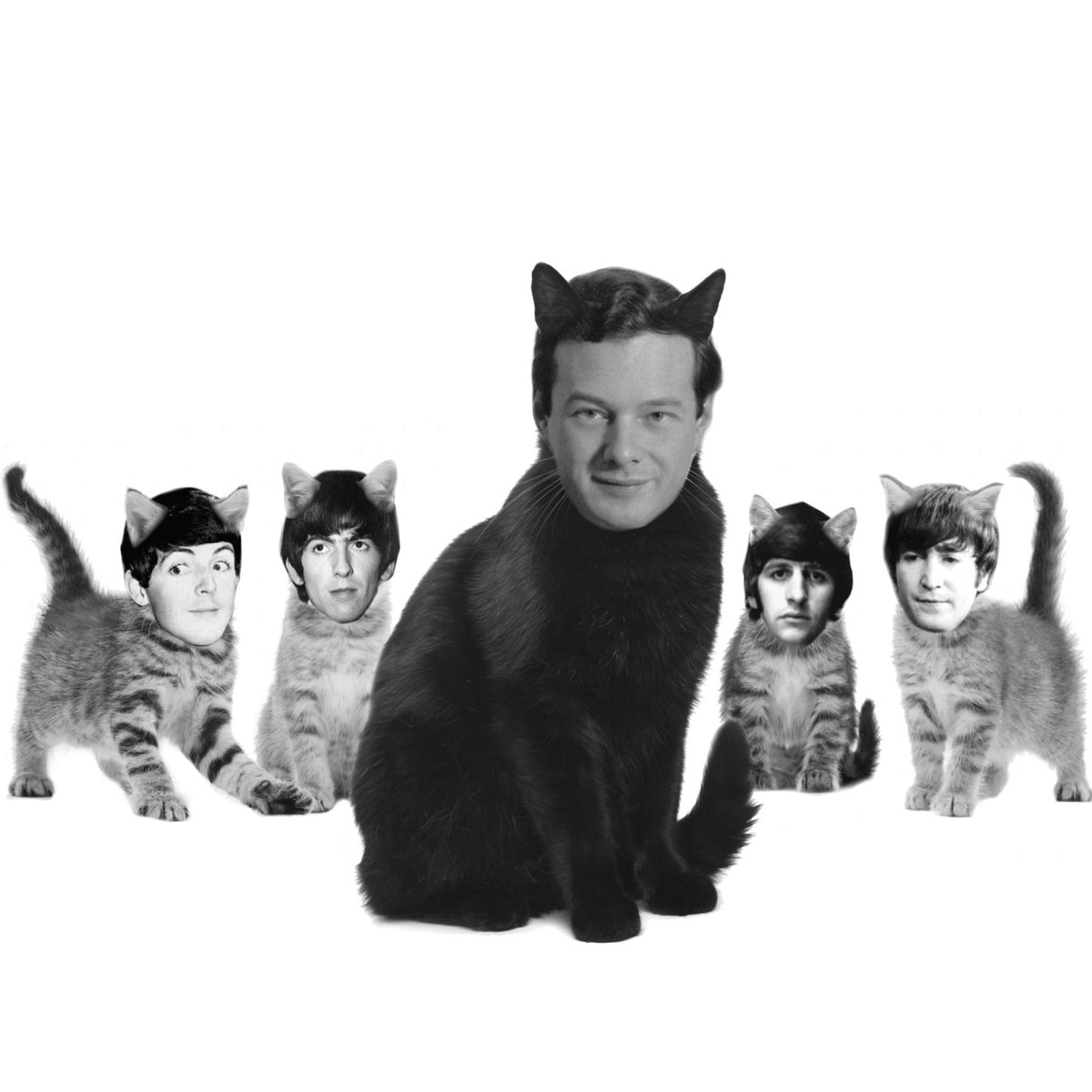 dailygeorgecat's tweet photo. https://t.co/CGPhDql8Hy