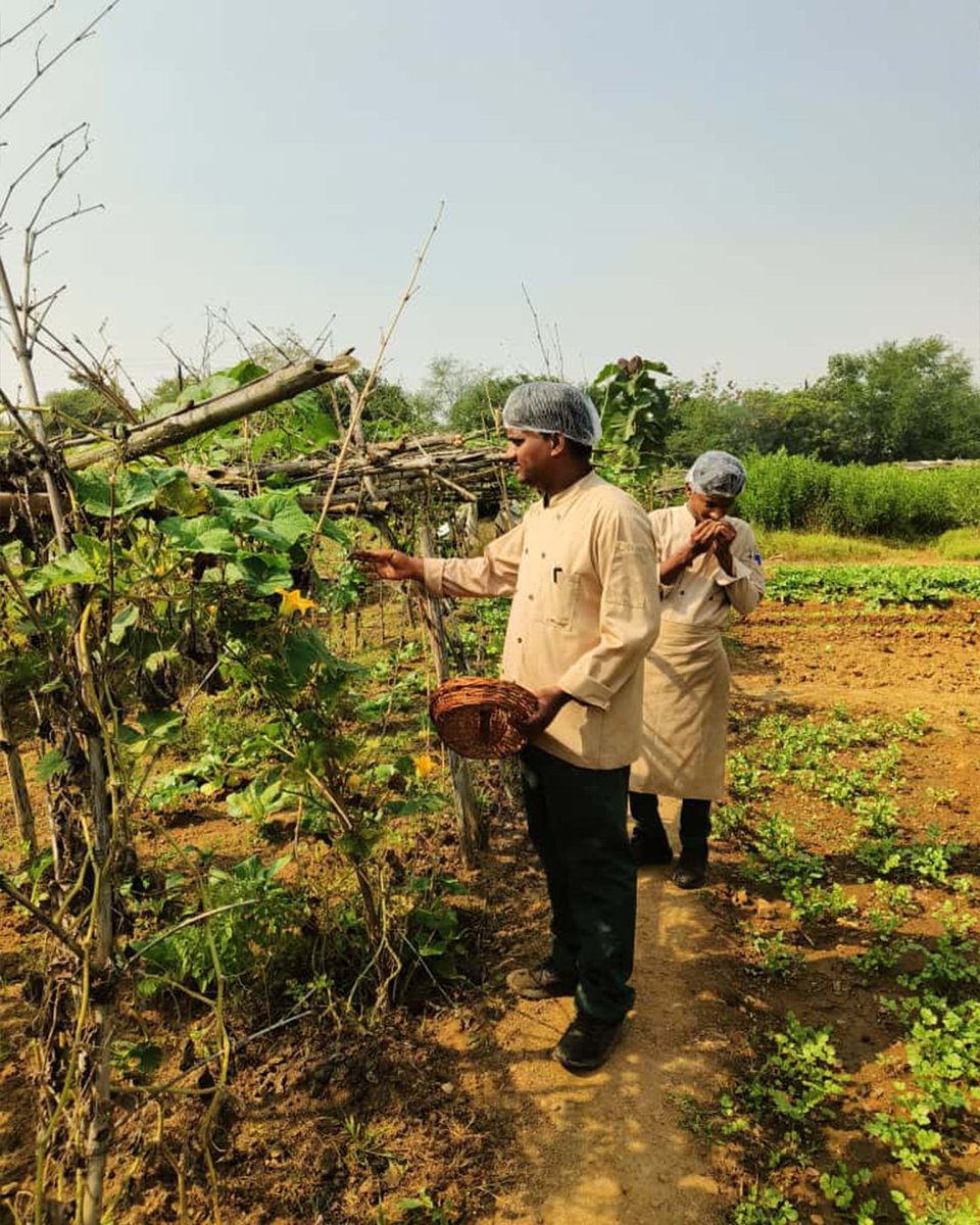 TenduSpa's tweet photo. Rooted in the land, inspired by the season.
Our farm-to-fork experience brings together fresh local ingredients, authentic flavors, and the simple pleasure of dining closer to nature.
Reserve your stay at https://t.co/EHH6eGhTuZ https://t.co/32OvAhsJGe