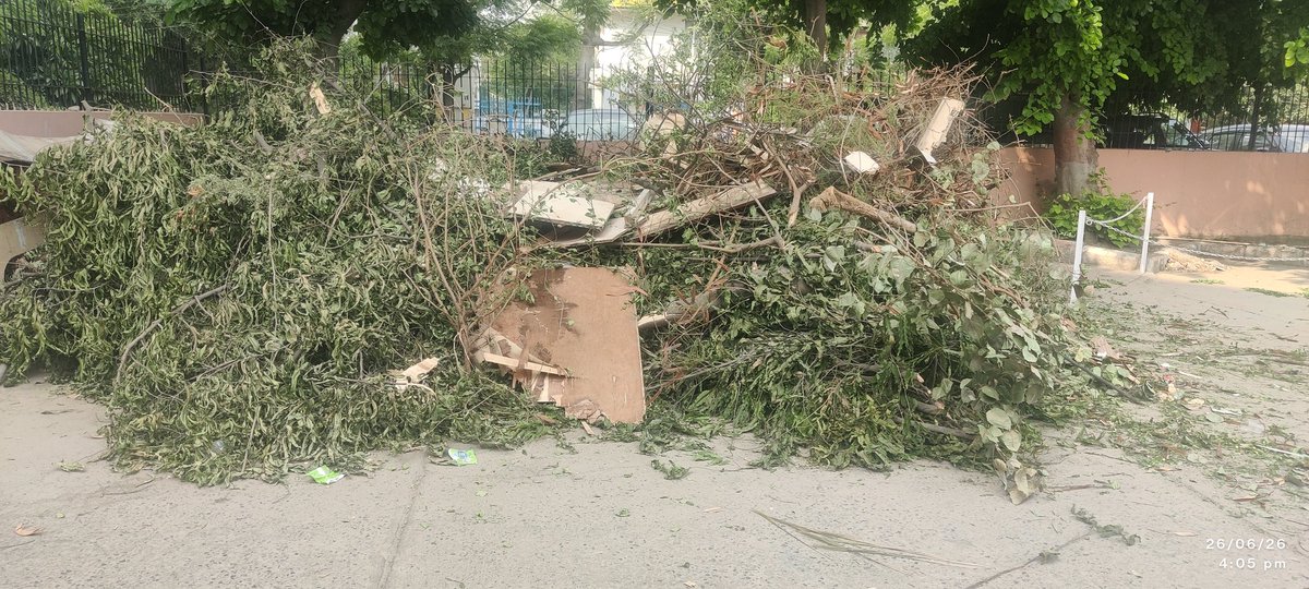 Gaganmlhtr's tweet photo. Waste of trees cut https://t.co/n3eXIZmcAf