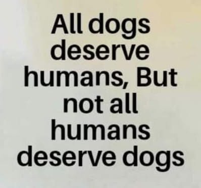woofknight's tweet photo. https://t.co/xXJQqOsxGk