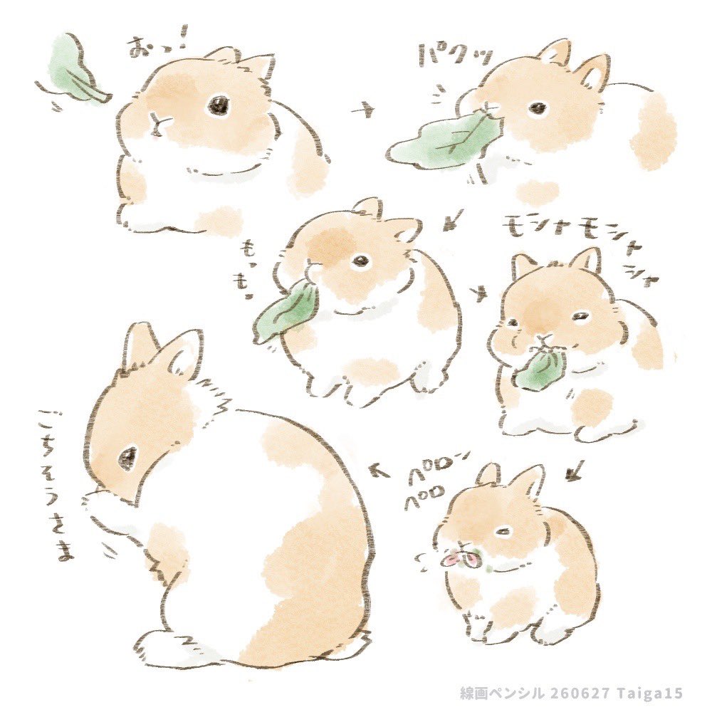 taiga15's tweet photo. ✏️ウサチャンンン🧡 https://t.co/nPemzjeS8x