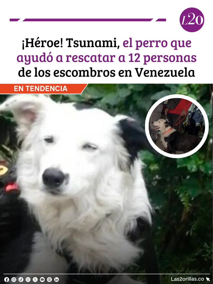 Las2orillas tweet media