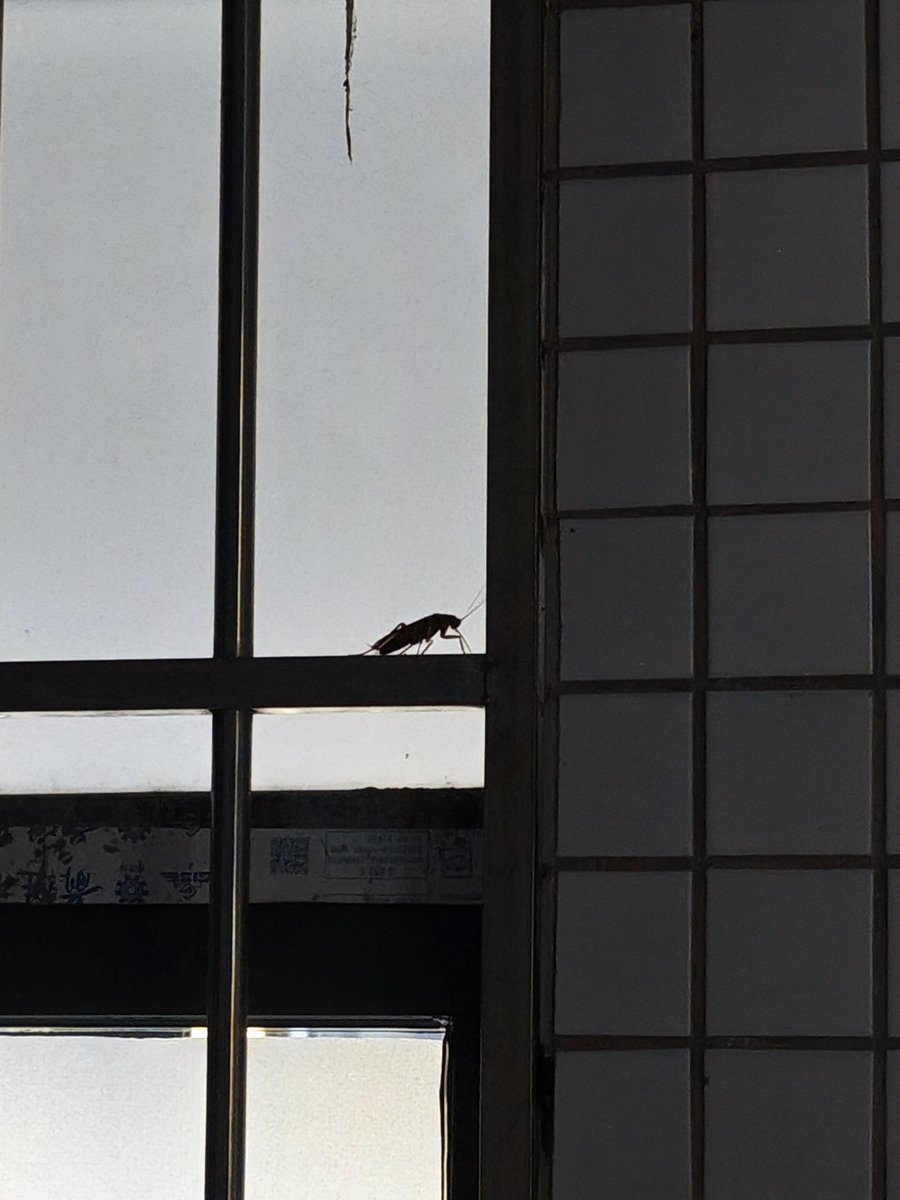 5aipindou's tweet photo. 好刺激 被看到了 
＃户外露出 https://t.co/T15Tb6JQjM