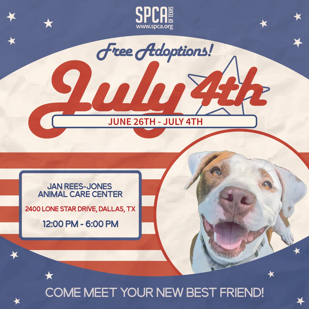 spcaoftexas's tweet photo. 🎇 Free adoptions through July 4! 🥳
We never want cost to stand between a pet &amp; a loving home.😻🐶🏡 Help them spend the holiday safe &amp; calm indoors, not scared of fireworks.
Our adoption counselors work closely to ensure the right fit, always putting animals first. 🐾 https://t.co/Wp5zH8x4SH