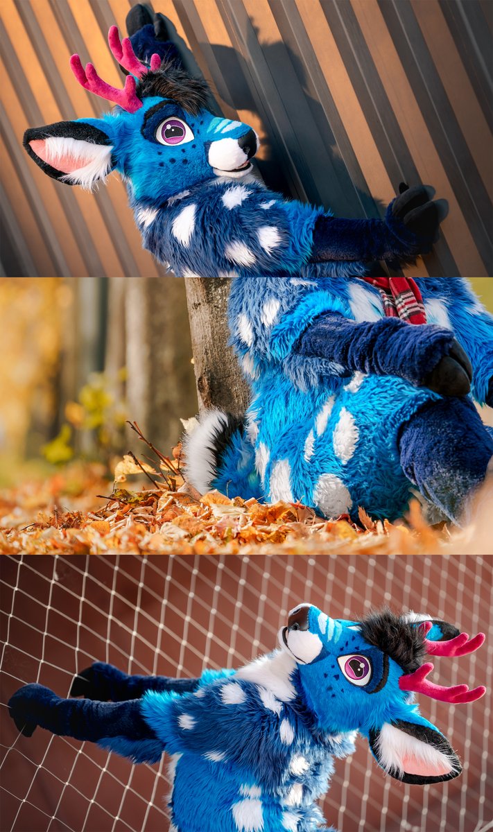 vlaaacek's tweet photo. 📷 EF and Awoostria 2026 photoshoots 📷

222 € for ~60 minutes 
135  € for ~30 minutes
  75  € for  ~15 minutes

DM to claim a slot^^

✨click the pics ✨

(more info in comment) https://t.co/BeKhJupGcg