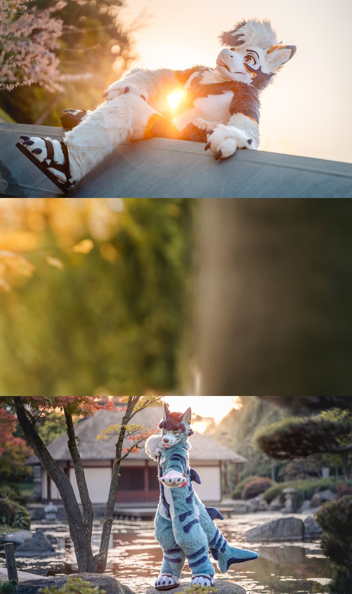 vlaaacek's tweet photo. 📷 EF and Awoostria 2026 photoshoots 📷

222 € for ~60 minutes 
135  € for ~30 minutes
  75  € for  ~15 minutes

DM to claim a slot^^

✨click the pics ✨

(more info in comment) https://t.co/BeKhJupGcg