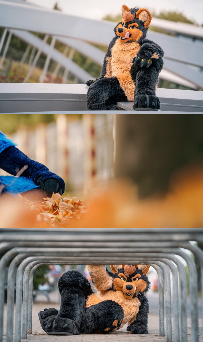 vlaaacek's tweet photo. 📷 EF and Awoostria 2026 photoshoots 📷

222 € for ~60 minutes 
135  € for ~30 minutes
  75  € for  ~15 minutes

DM to claim a slot^^

✨click the pics ✨

(more info in comment) https://t.co/BeKhJupGcg