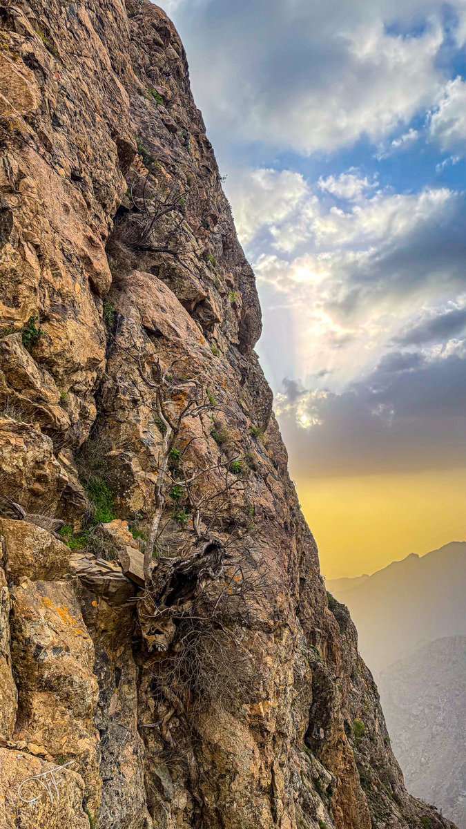 Mnqosh's tweet photo. #صورة_من_بلجرشي 
من جبال الأسنان بمحافظة #بلجرشي 
#منكوش https://t.co/5fr1qf0wza