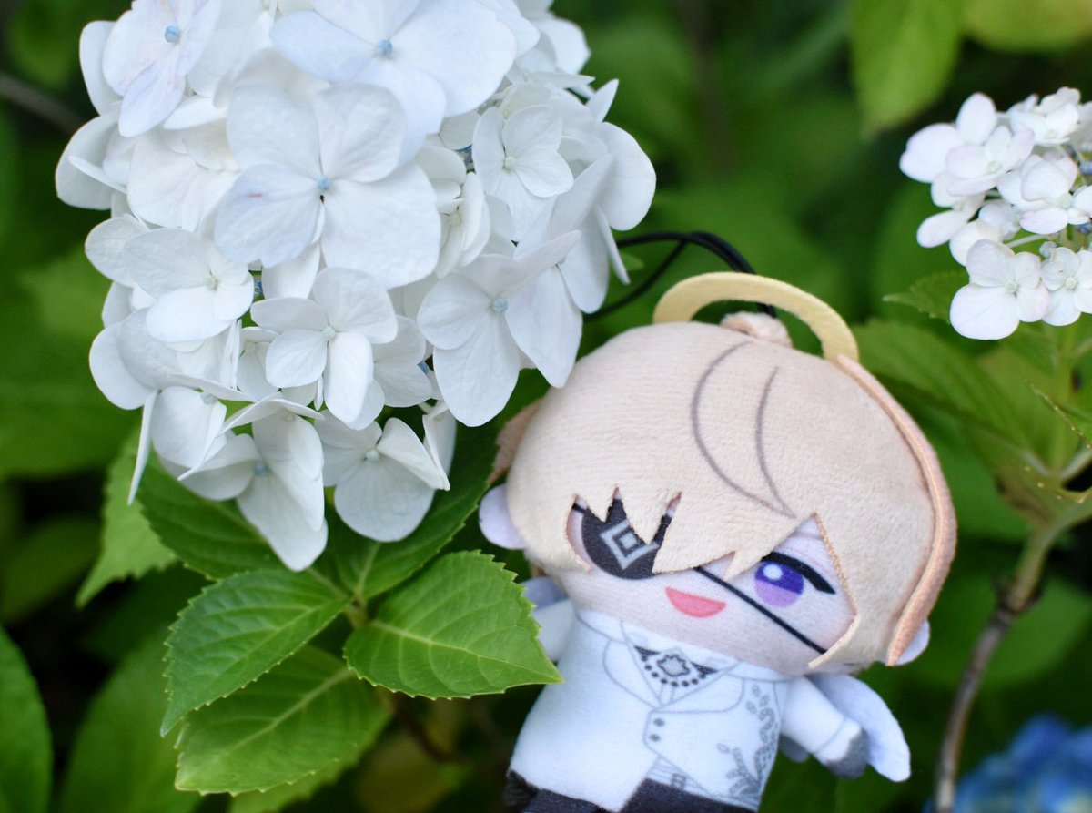 marron_4696's tweet photo. いっぱい撮ったんだ🌸 https://t.co/JMAAVBnWaV