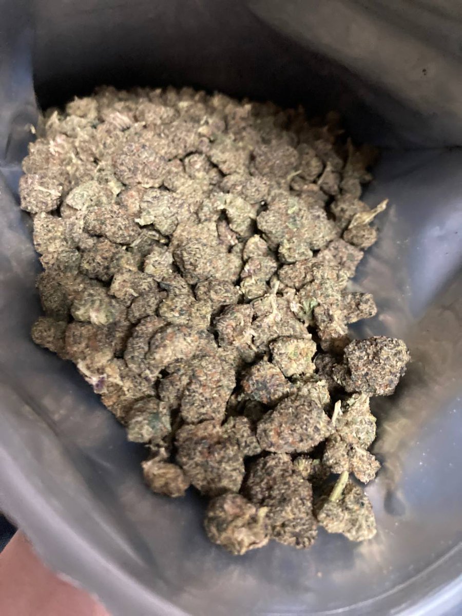 DallasTruex tweet picture
