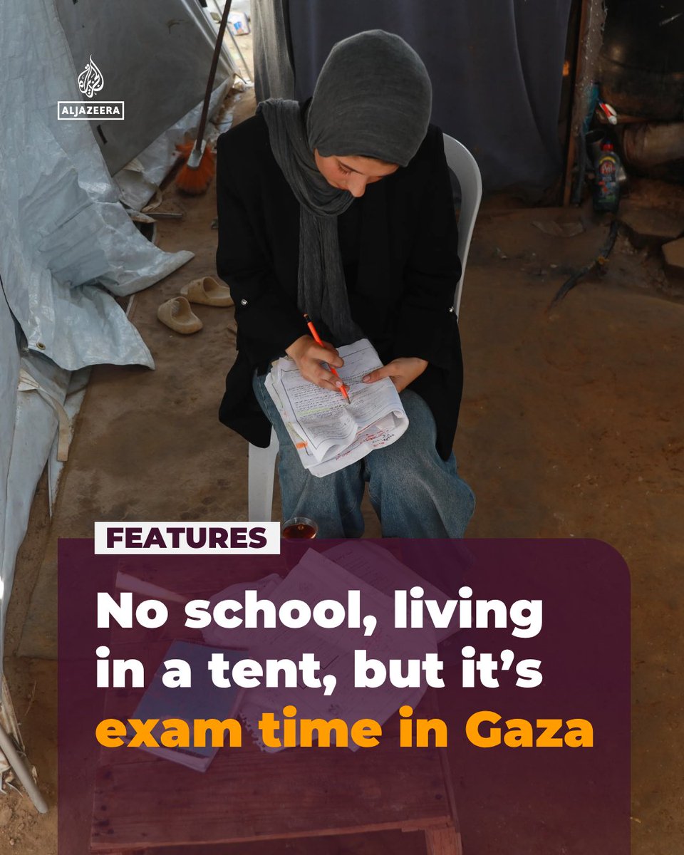 AJEnglish's tweet photo. Due to the destruction of Gaza’s schools in Israeli attacks and their use as shelters for the displaced, Dana Shabat is forced to continue her education remotely and walk an hour each day to a cafe to take her high school exams.

Read her story: https://t.co/0gWW4MmNfg https://t.co/P15jMbrvrZ