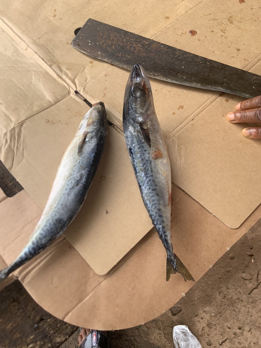 GOZIEOFEBONYI's tweet photo. I Dey market now Wetin I go cook for you guys. https://t.co/9VRSXClDkC