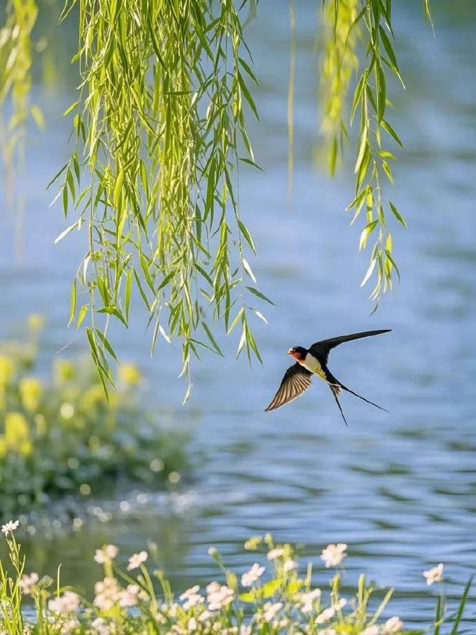 Gitana1369877's tweet photo. "Nature is a temple in which the soul feels its freedom, where every leaf and every flight of a bird speaks of an eternal peace” https://t.co/FYjBEO4M6f