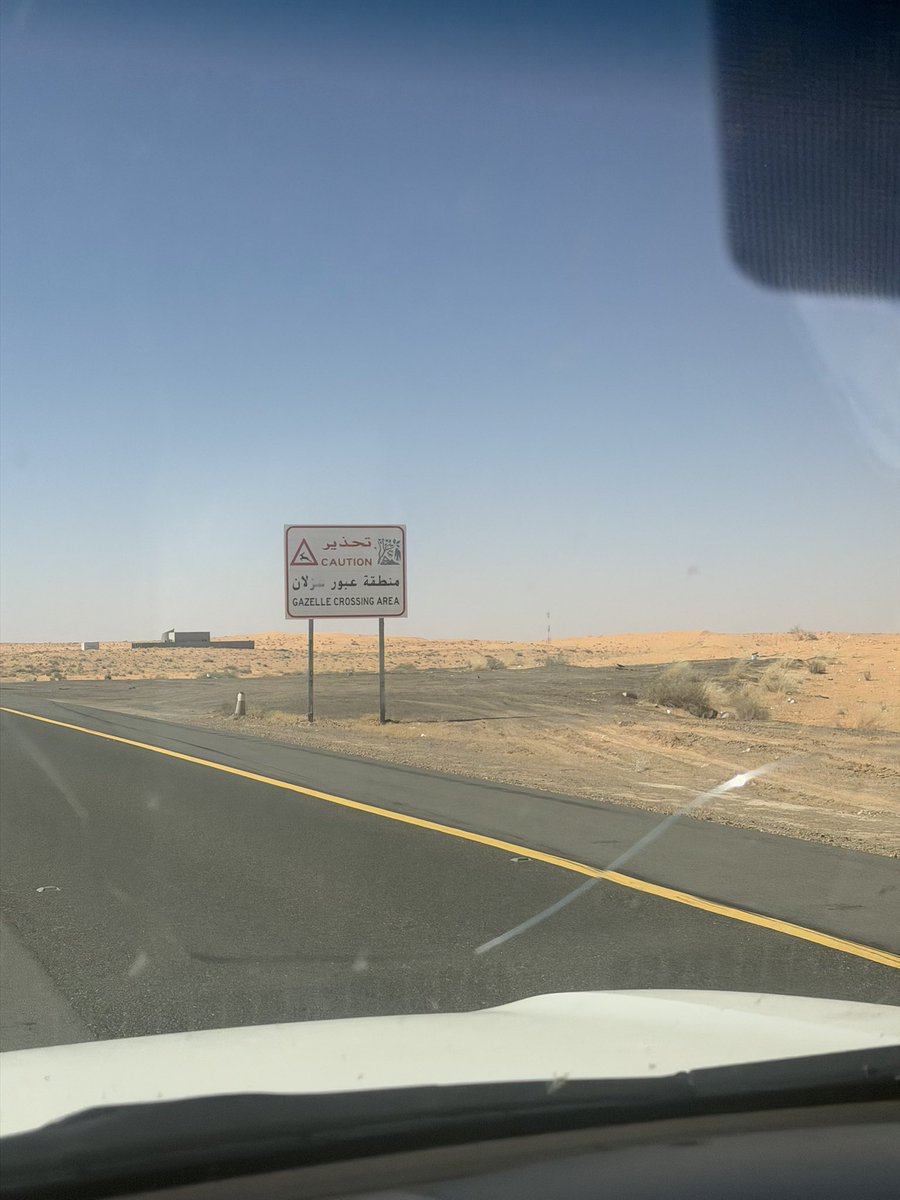 s_6lf's tweet photo. ياغزال علق الوسم في قلبي وراح 

-طريق الجوف https://t.co/4xXkEgwv2C