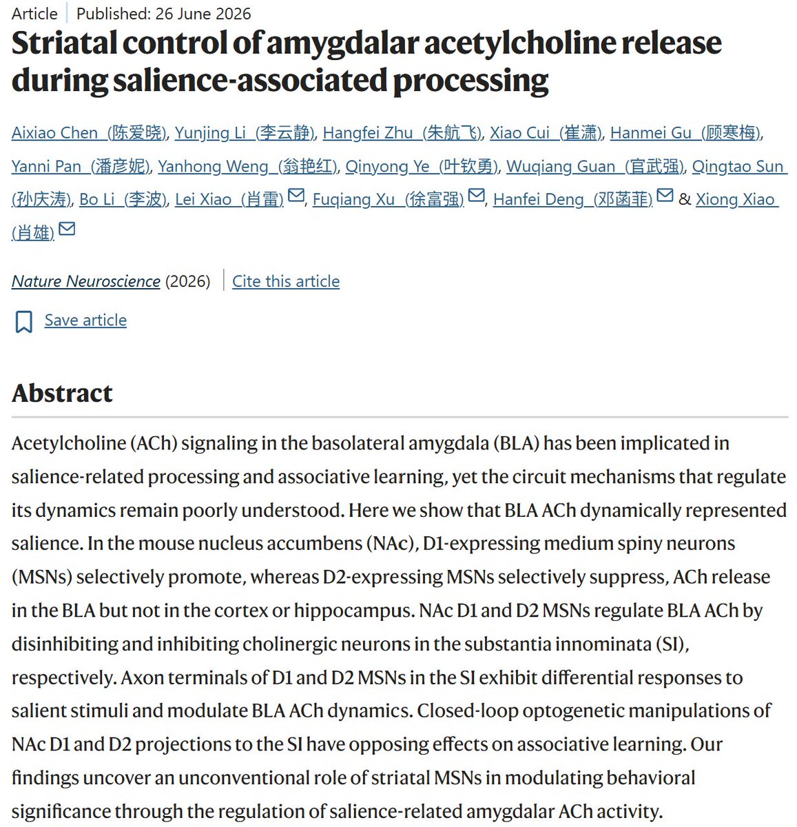 xiaoxiong2n's tweet photo. How does the striatum help the brain identify what matters? Excited to share our new paper in @NatureNeuro. We show that opposing NAc D1/D2 pathways shape salience representation by regulating amygdalar ACh release, extending D1/D2 MSN models beyond action and reinforcement. https://t.co/tAbTUb0R3H