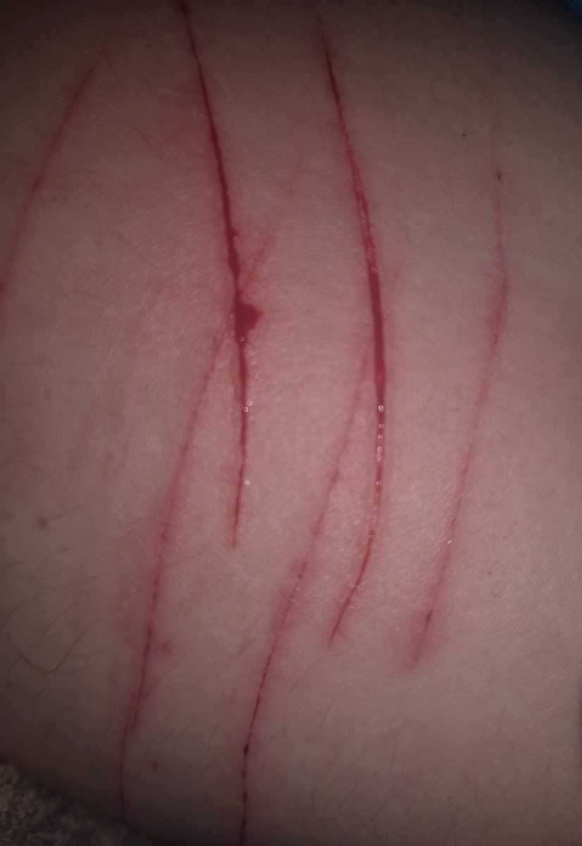 ThtAmelia's tweet photo. Is this styro or no 
#shedtwt #shtwt https://t.co/TRZ78Yl9bo
