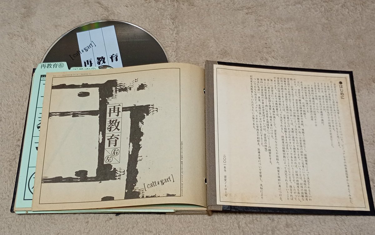 装丁が好きな本選手権 本、と言いつつ、CDジャケットも。 『再教育 