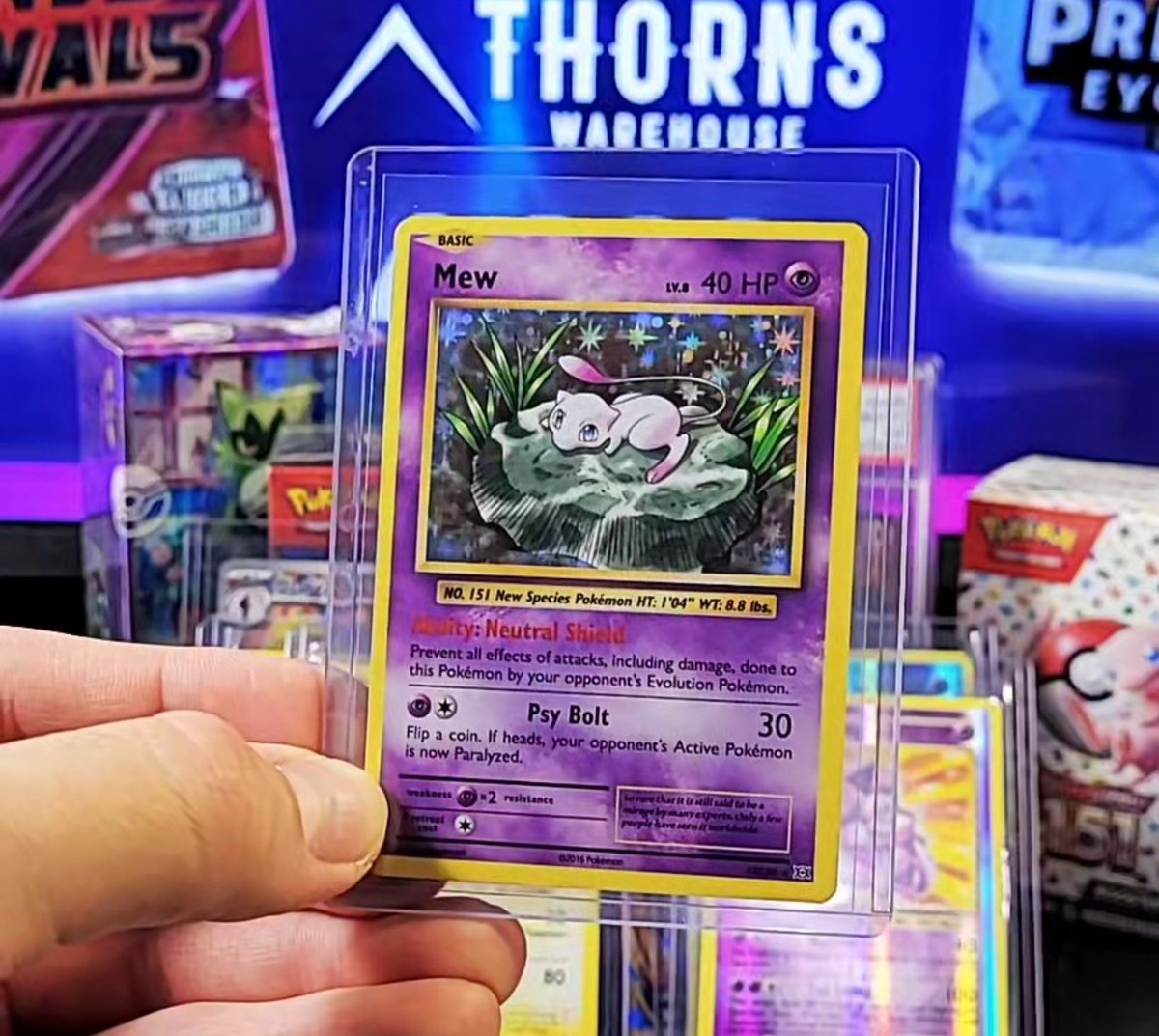 ThornsWarehouse's tweet photo. 🔥 BIG PULL LIVE ON STREAM! 🔥

We just pulled this Mew from XY Evolutions live and the nostalgia is hitting HARD 😮‍💨✨

Nothing like cracking packs and seeing classics show up on stream.

What are we pulling next? 👀

#PokemonTCG #PokemonCards #XYEvolutions #Mew #PokemonPulls #RipAndShip #ThornsWarehouse