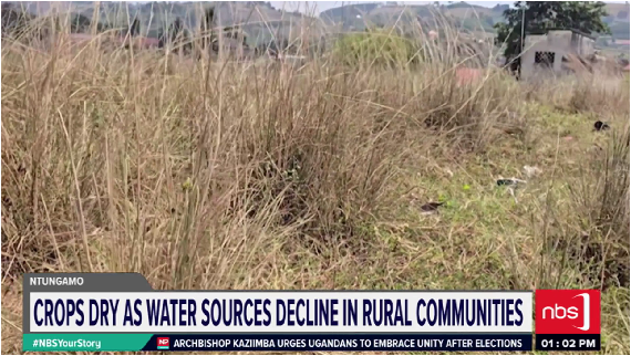 nbstv's tweet photo. Farmers in Ntungamo District are preparing for the peak dry season as crops dry in gardens, a situation worsened dusty roads spread across rural areas, shrinking water sources, and withering pastures.

@NsimentaBridget  

#NBSYourStory #NBSUpdates https://t.co/fWzqiwAhNy