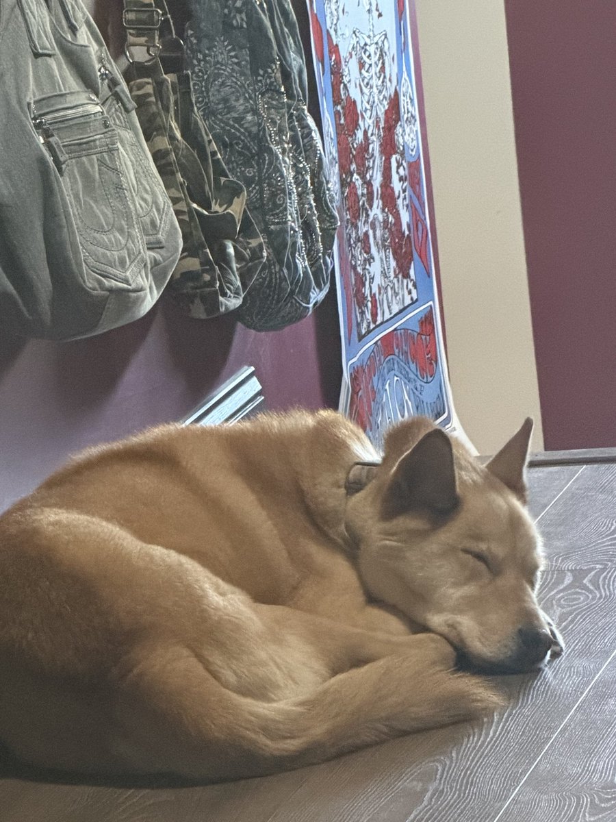 okokangelaa's tweet photo. me + my doggie :3 https://t.co/SJDqvzYXw3