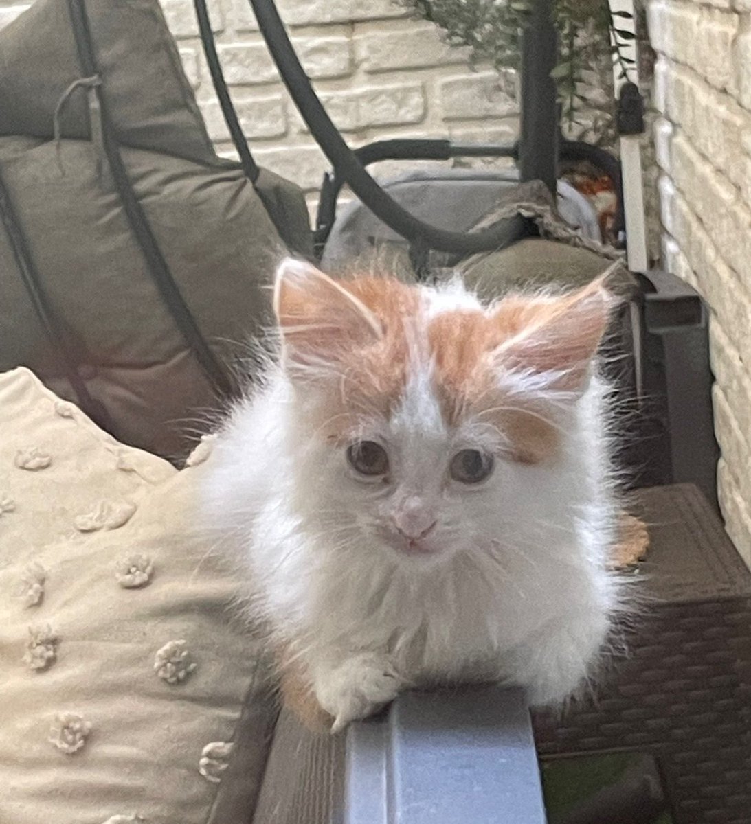 kikithehotwheel's tweet photo. 1 kişinin bile sormadığı öğrenince mutsuz ekmek oldu https://t.co/8OOAoZWGCK