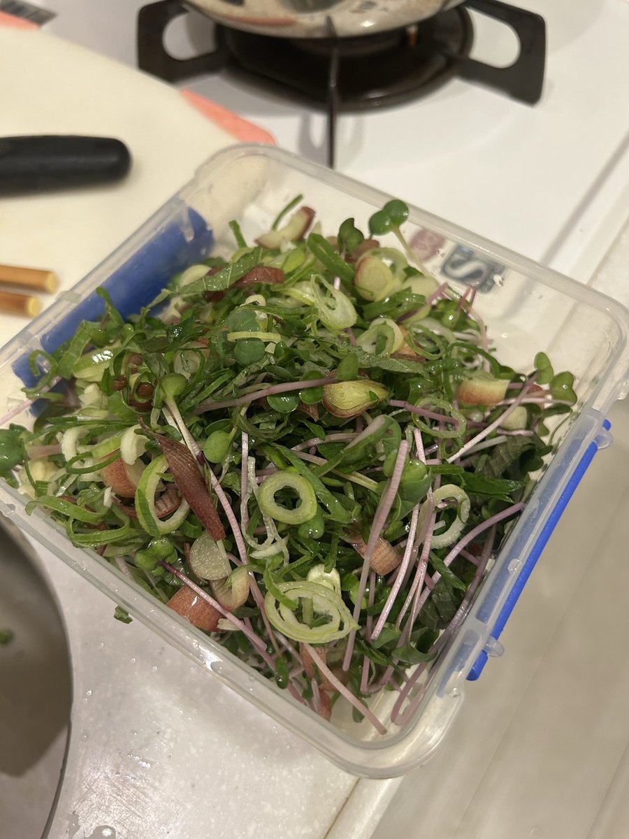 kasukasux's tweet photo. 薬味が食べたいから、茄子の煮浸し作ってみた。茗荷、大葉、ネギ・かいわれ…美味しいね〜^_^
#オヤジめし #薬味 #茄子の煮浸し https://t.co/AevhOQARPY