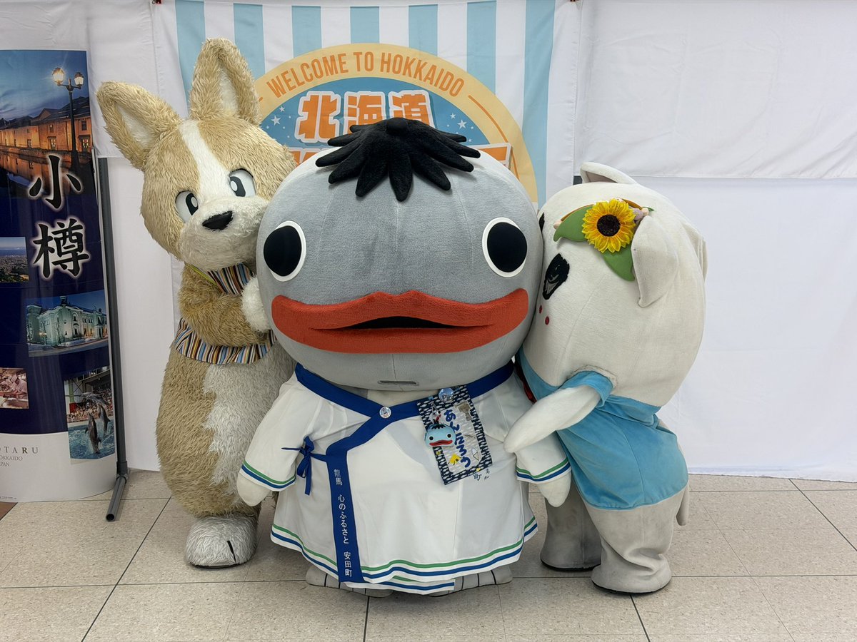 こーた(幸多) (@p_welsh_corgi) / Posts / X