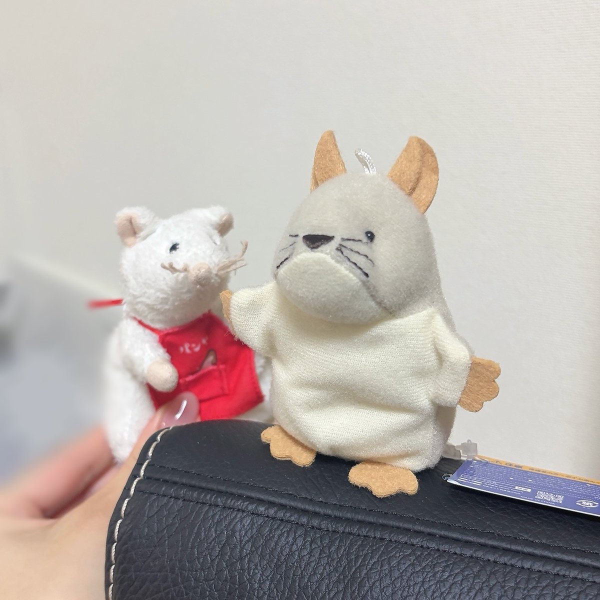 こーちゃ様 きゃー🐭🐭！！！