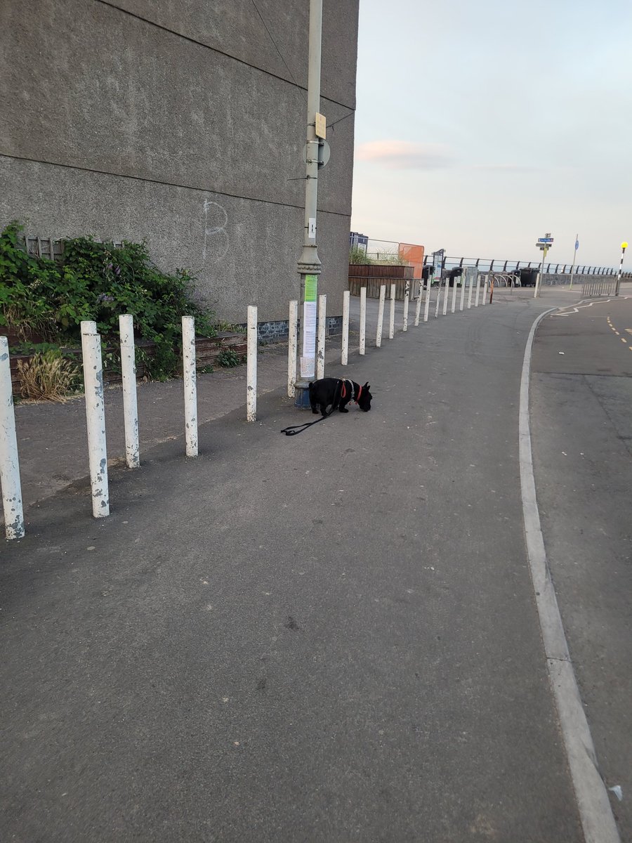 SonsiesDad's tweet photo. @diamondsnjeans The fair and stalls are being knocked down and redeveloped into homes
Been on the cards for years, even that building is going https://t.co/EgCYbjWgaE