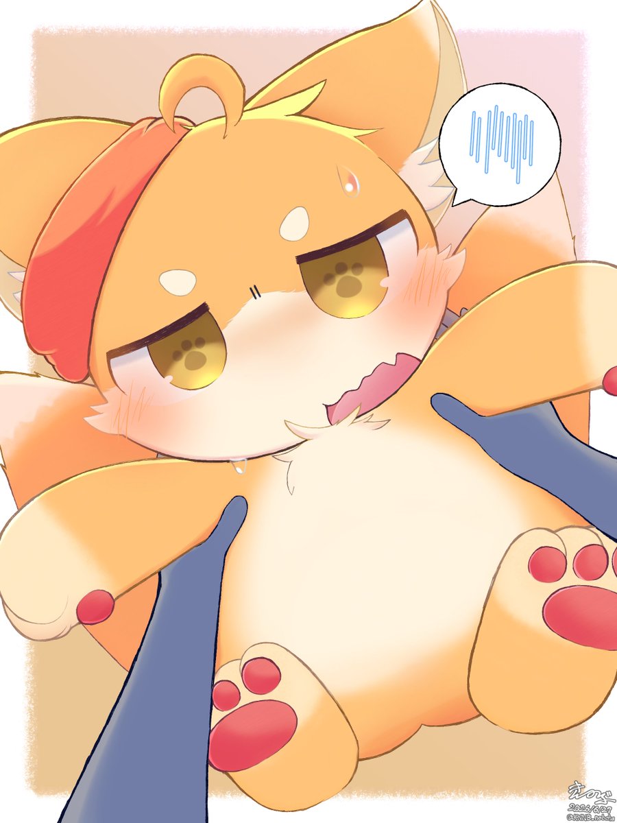 KNNB_nobcha's tweet photo. マロちゃん！ https://t.co/qVjRwTSwt5