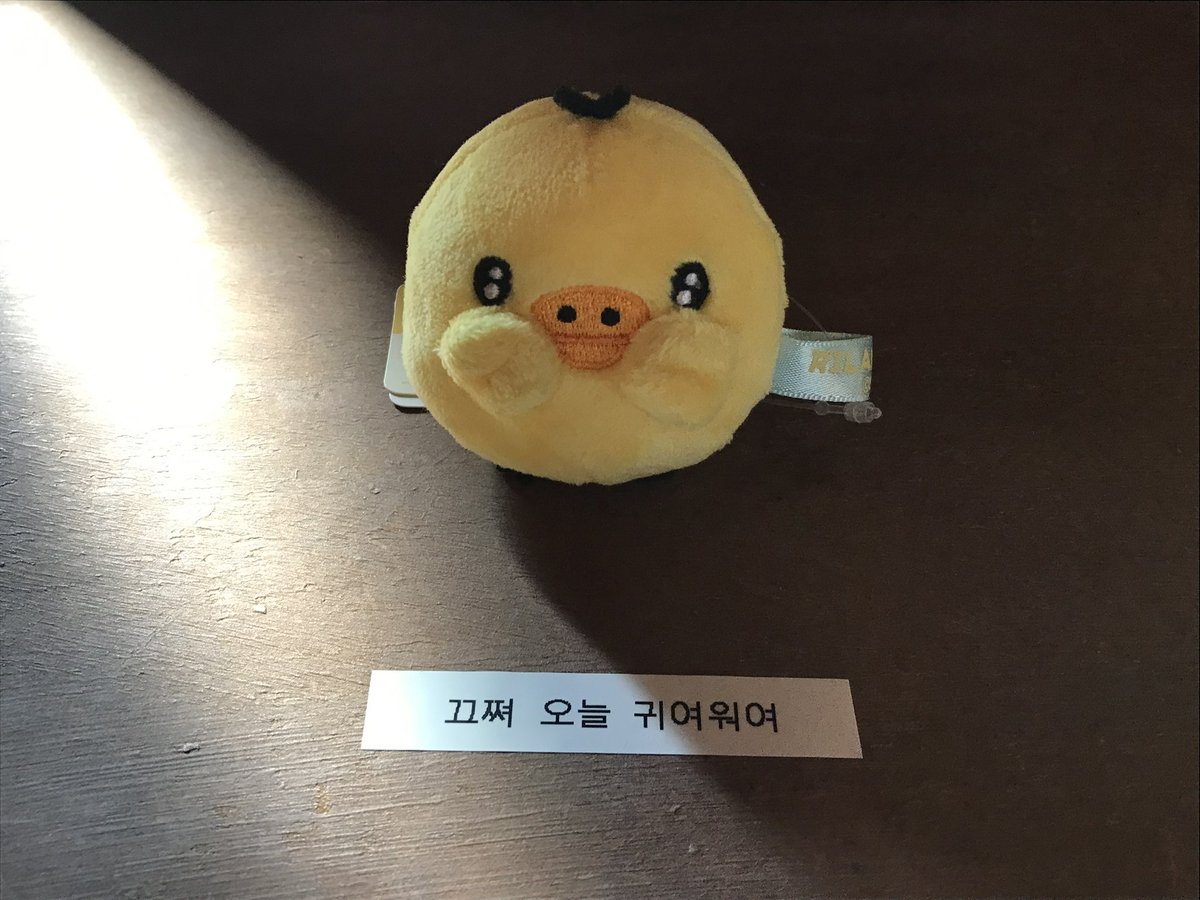 ppangkurii_'s tweet photo. 진짜 미친듯 https://t.co/atJyLgISOR