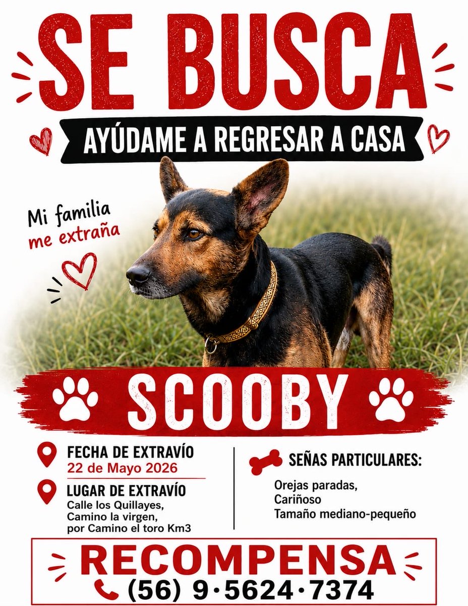 Elizabeth_n_n's tweet photo. Se Busca en #Curacavi #RM #Santiago #VolveríasConTuEx2 #fiebredebaile @PamJiles @jananeme @fuentesilva @kattykowaleczko @RenatoMunster #Chile https://t.co/n8Gf88EG4y