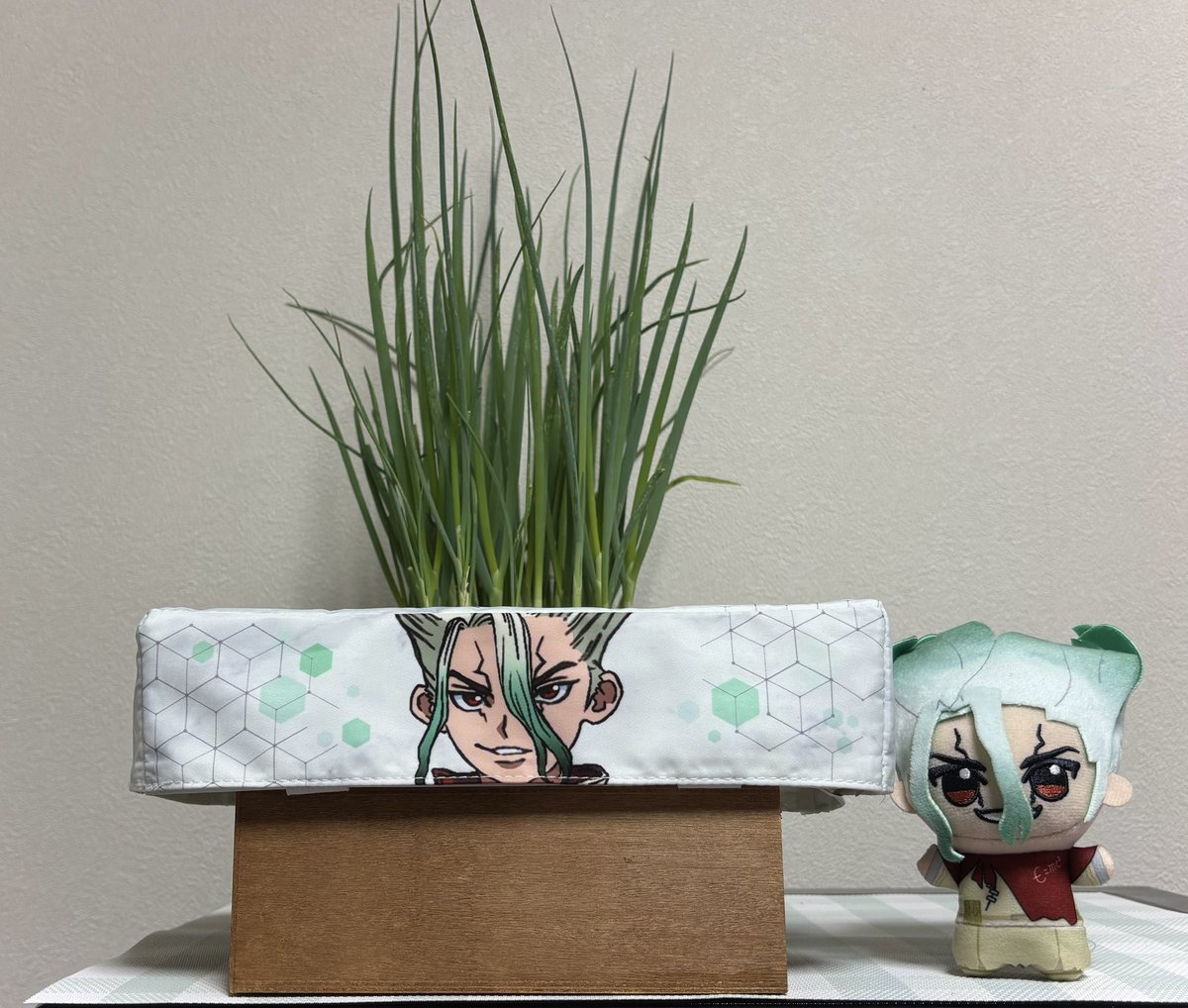 MISO0789's tweet photo. 推しを栽培して収穫🥬 https://t.co/TGXHEYKrh7