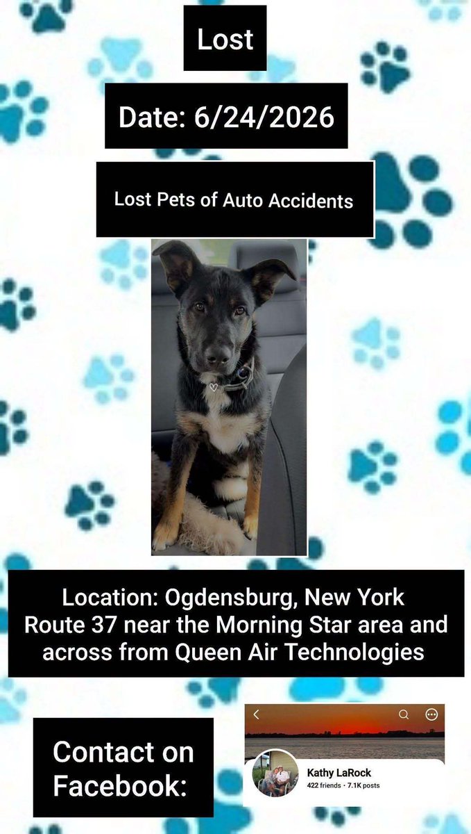 SistersInBiz's tweet photo. German Shepherd "Teddy" missing after a car accident
6/24/26
#Ogdensburg #NewYork
➡️On Route 37 near the Morning Star/across from Queen Air Technologies
Male
Black/Tan/White
5 1/2 Mo's Old
Please contact w any sightings: https://t.co/UL8TrWreyU
#StLawrenceCounty #NY #Lostdog https://t.co/OXGk9oYSRt