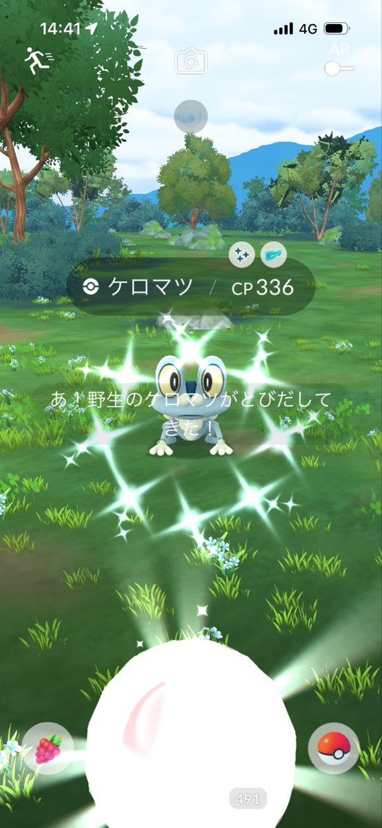 kitakanto_ta's tweet photo. エアームドメガレイドデイお疲れさまでした😊
自分のアカウントは色違い確率UPしてなかったのかな😅
結局２１戦して色違い無し😭
高個体も攻撃1掛けの98と惜しい感じでした😅
唯一の色違いはケロマツでした😊
テッカグヤもフレンドさんの招待で何とかGET出来ており有難う御座います😊
#ポケモンGO https://t.co/hWJ2ijWaZn