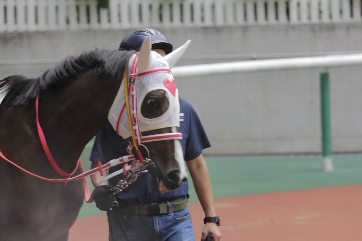 VM40921's tweet photo. 2026.6.27
福島競馬場 https://t.co/mXbayL9D5h