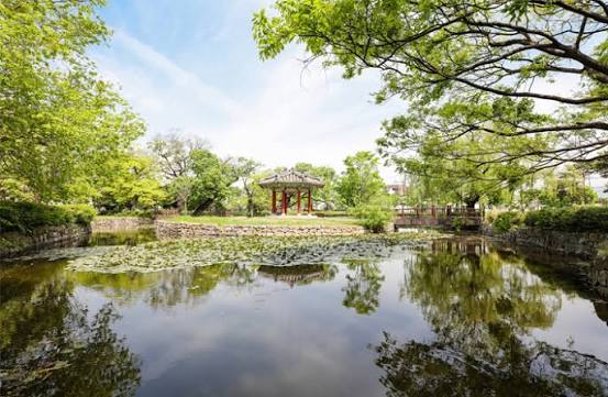SER32903633's tweet photo. 한국에서 전통 정원의 정수를 보고 싶으면 역시 무조건 호남을 가야되는 것 같음

진짜...평야 곡창지대 특유의 완만한 풍경과 풍요 속에서 일궈놓은 정원 미학의 극치가 호남에 모두 모여있는 것 같았고 아직도 기억에 남음

진도 운림산방
해남 보길도 원림
담양 소쇄원과 명옥헌 https://t.co/UskAa9ZacI