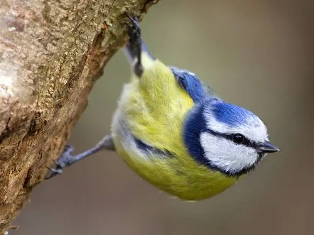 PostM_GB's tweet photo. @PrayForOomfie Those aren't the tits you're supposed to be watching. https://t.co/JjJBeScTJZ