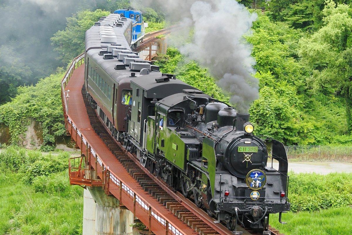 GggPote's tweet photo. 2026/6/27 
SL大樹『土津』 
DE10 1109+C11 325+ヨ8634+12系・14系客車3両 
C11 325+ヨ8634+12系・14系客車3両+DE10 1109

本番は下見したうち、最も撮りたかった2カ所から無事撮影できました。
…やっぱり大きなネタとなると変な人、ちらほらいるね💦
#SL土津
#SL大樹 https://t.co/u6Dqu5fTFg