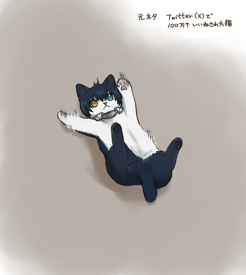 nagetukeru123's tweet photo. これは猫のメタ主くん https://t.co/oRWaS2RJS0