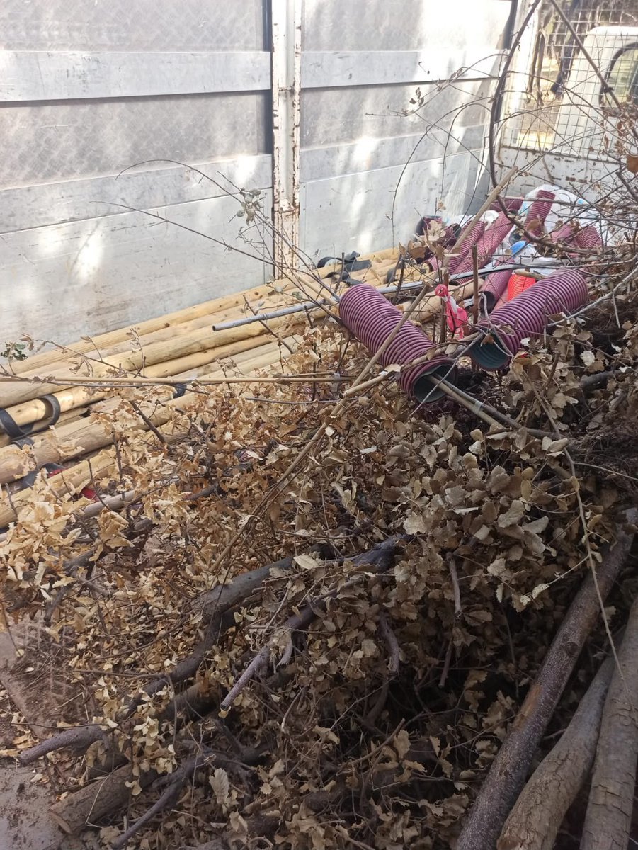 LSacedaG's tweet photo. El pasado mes de abril pregunté a la alcaldesa socialista 🌹 de Alcorcón si los servicios de riego 💧y plantación  de arbolado 🌳 estaban coordinados. 
Bueno, pues ahí los resultados y el destino del dinero de los vecinos. https://t.co/dbdXO2BjW0