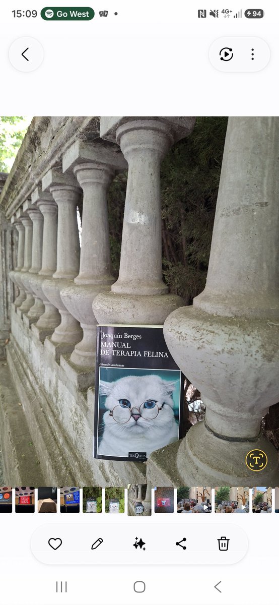 reyesvi's tweet photo. 23/26. Manual de terapia felina de #Joaquínberges. Libro que me recomendó mi bibliotecaria. Ha sido todo un acierto. Libro diferente a lo que suelo leer. Me ha  sorprendido y de qué manera!!! Entretenido. Escritura ágil y amena. Inteligente fresca sutil y emotiva https://t.co/smjOO9vmez