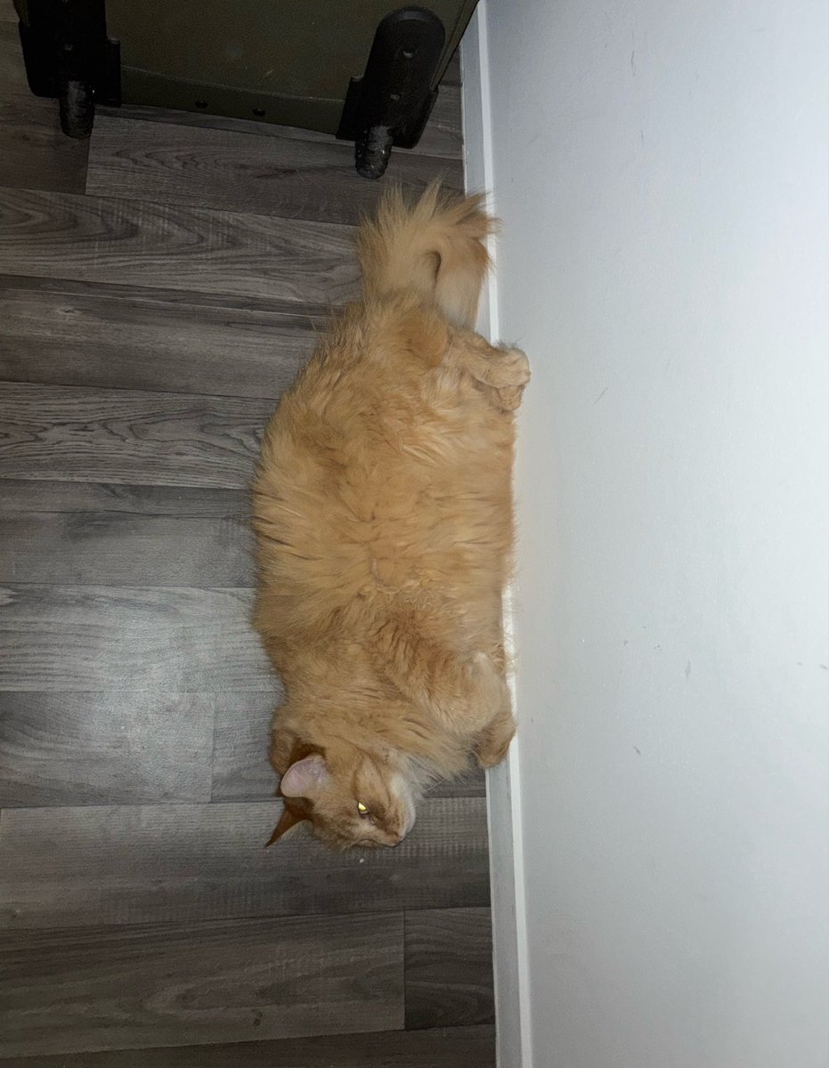 BryanAyan's tweet photo. La pose ? Mdr un gros lardon j’ai pas compris le projet https://t.co/1oIjxb0W4e