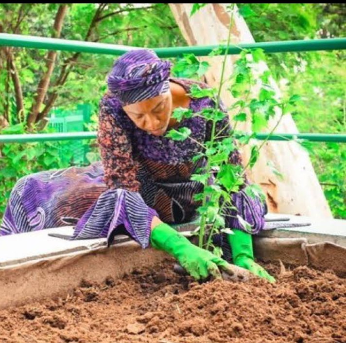 Omatune's tweet photo. Remi Tinubu gave Nigerians a hint on what's to come

Her first hint was telling Nigerians to start planting food stuffs at their backyards.  She knew their plan was to impoverish.

At the mid of it, she encouraged the whole country to start akara business by the roadside, while telling us boldly, how she has made billions from the polity.

This woman isn't just wike'd, but has sold her humanity to her husband's cap.

This is a family that no one in there, can look at the other and take one example of goodness...they are all the same.